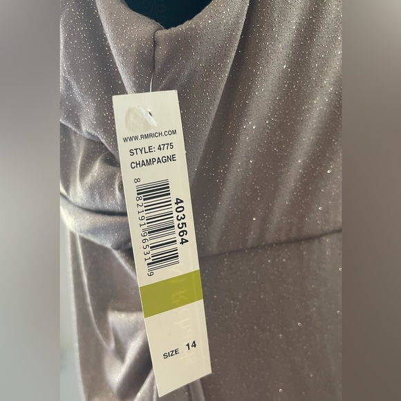 R&M Richard's Shimmer Champagne Gown
NWT Size 14 - Picture 8 of 15